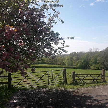Moaps Farm B&B Support Small Business, Welcome, Check In From 5 Pm Danehill Esterno foto