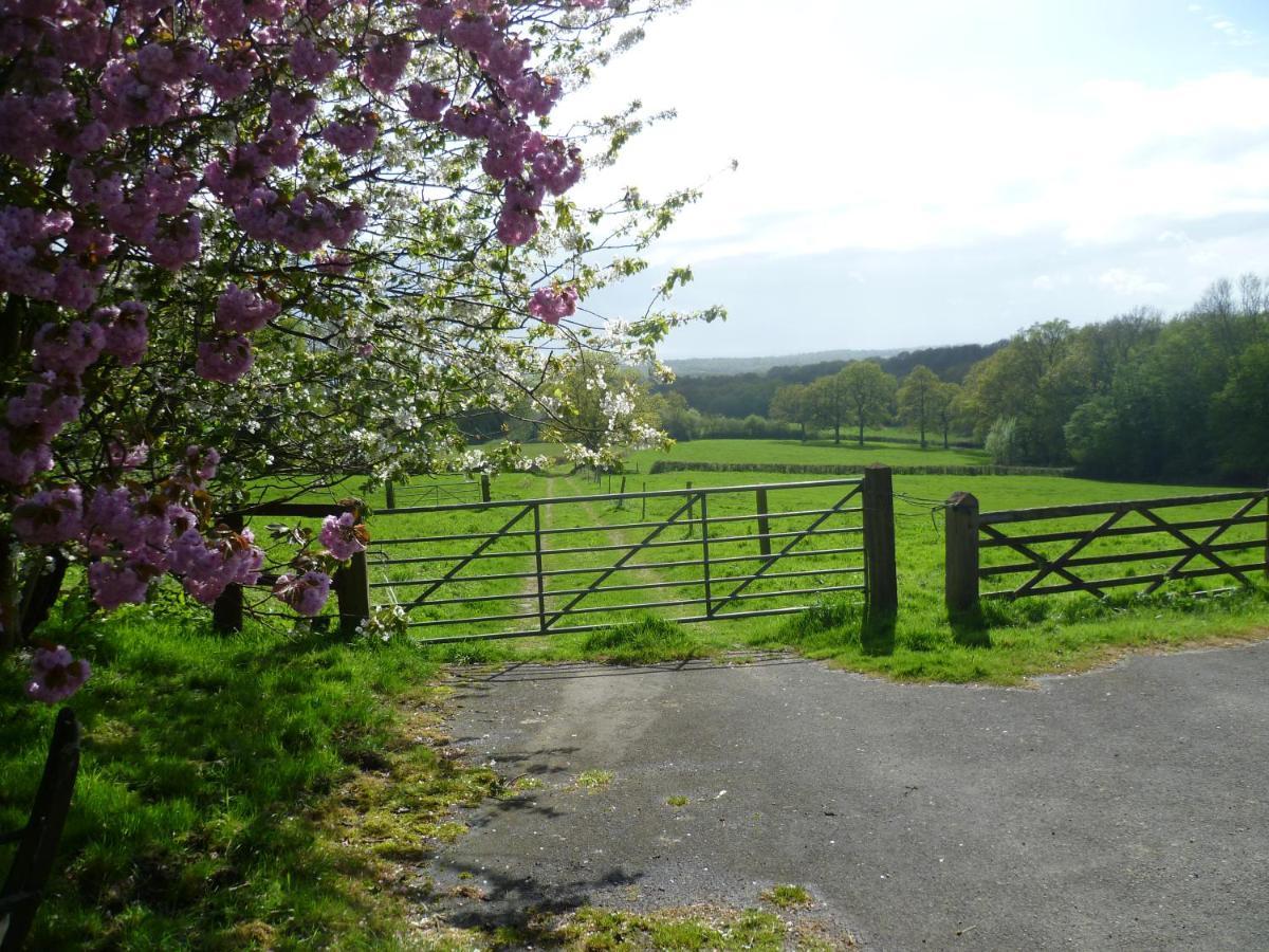 Moaps Farm B&B Support Small Business, Welcome, Check In From 5 Pm Danehill Esterno foto