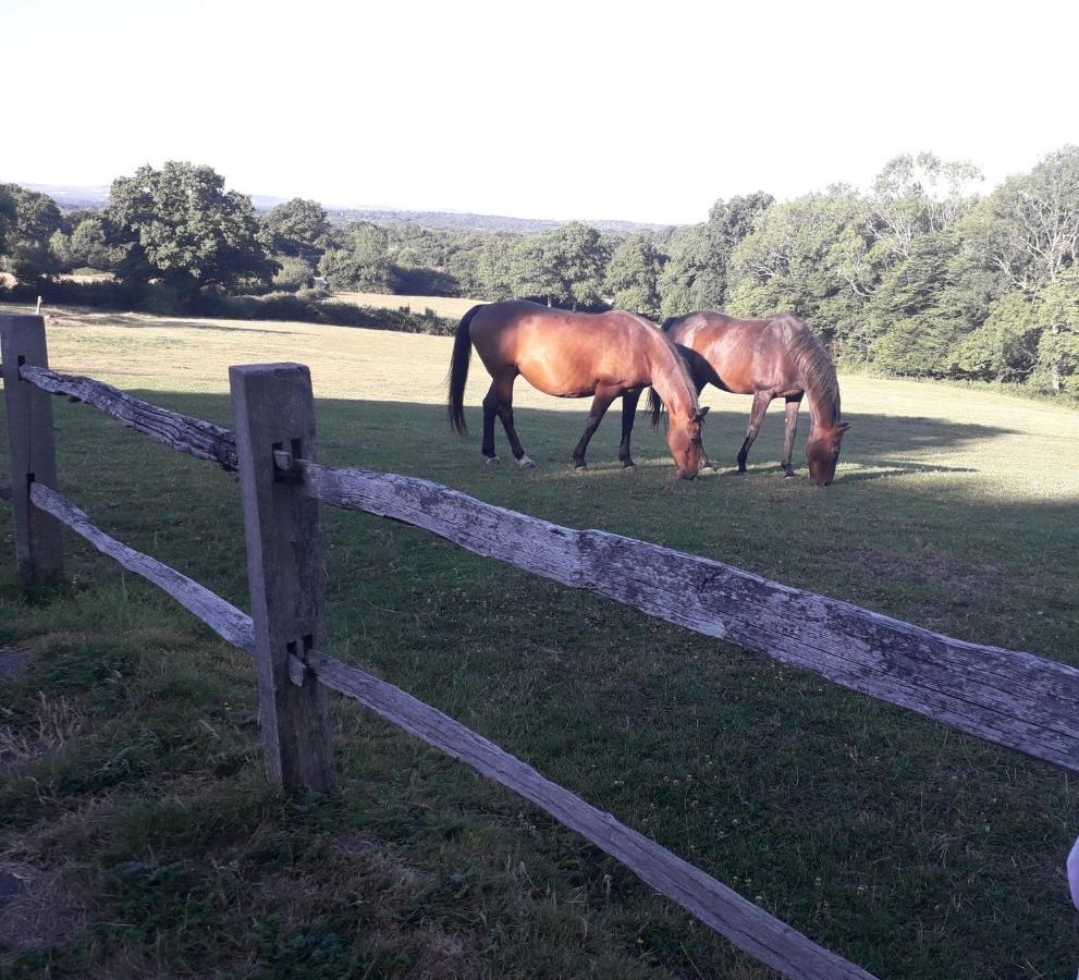 Moaps Farm B&B Support Small Business, Welcome, Check In From 5 Pm Danehill Esterno foto