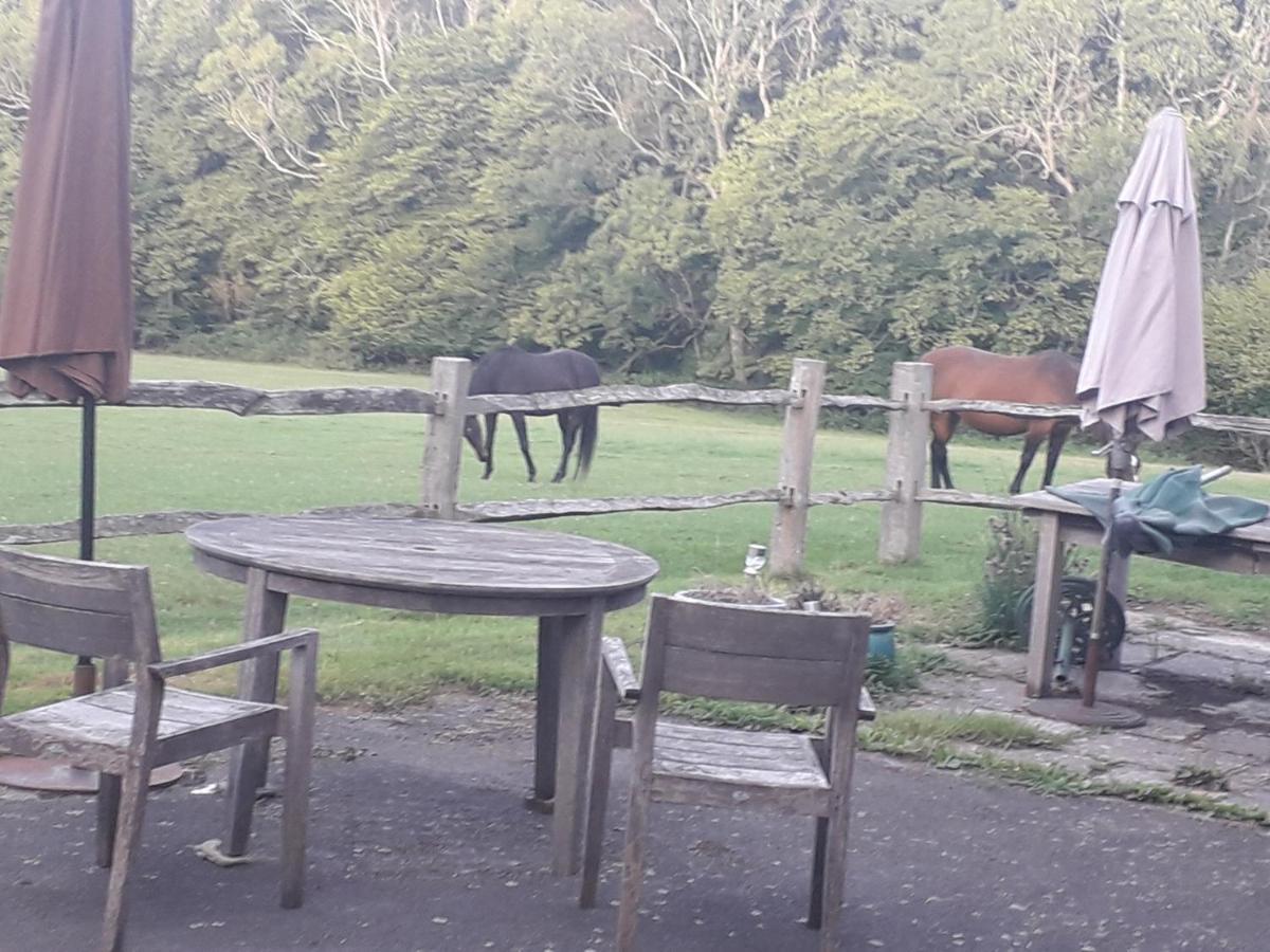 Moaps Farm B&B Support Small Business, Welcome, Check In From 5 Pm Danehill Esterno foto