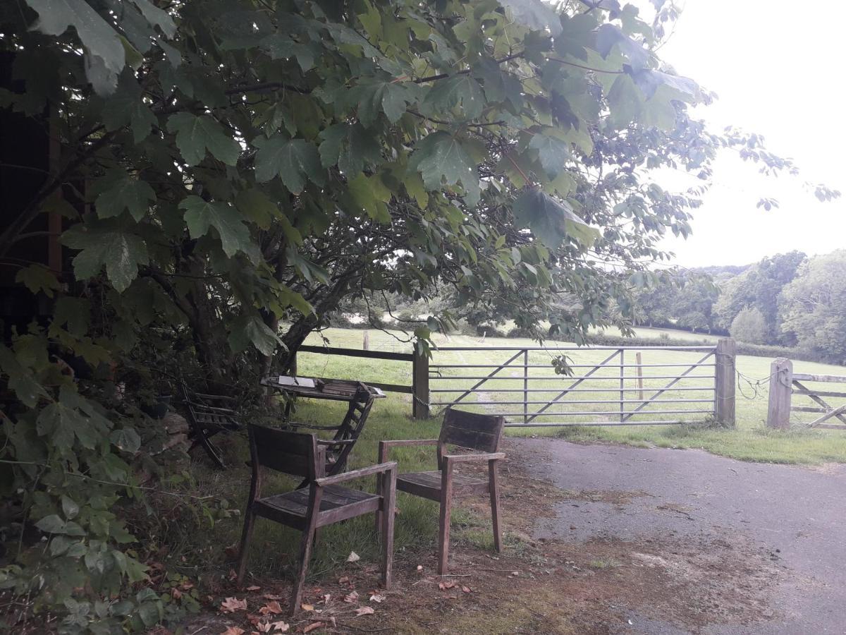 Moaps Farm B&B Support Small Business, Welcome, Check In From 5 Pm Danehill Esterno foto
