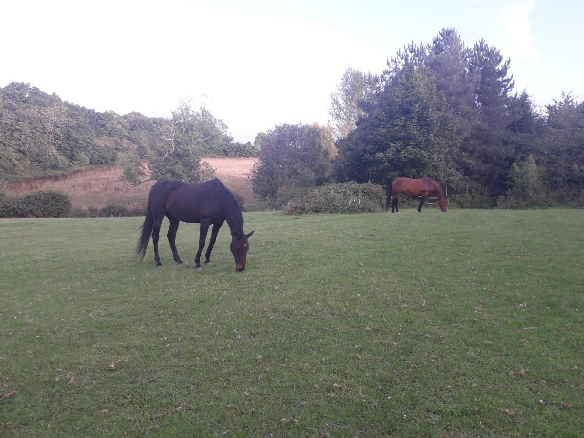 Moaps Farm B&B Support Small Business, Welcome, Check In From 5 Pm Danehill Esterno foto