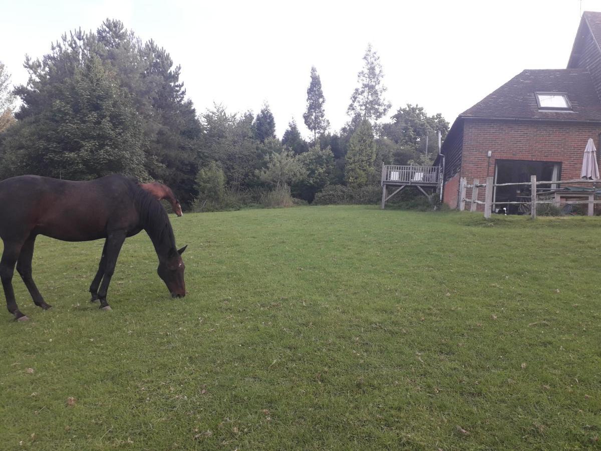 Moaps Farm B&B Support Small Business, Welcome, Check In From 5 Pm Danehill Esterno foto