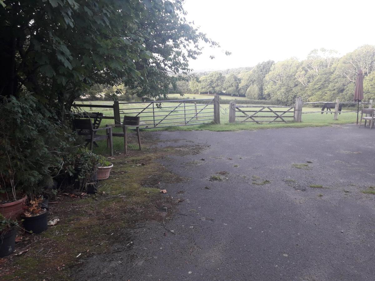Moaps Farm B&B Support Small Business, Welcome, Check In From 5 Pm Danehill Esterno foto