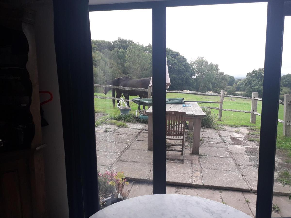 Moaps Farm B&B Support Small Business, Welcome, Check In From 5 Pm Danehill Esterno foto